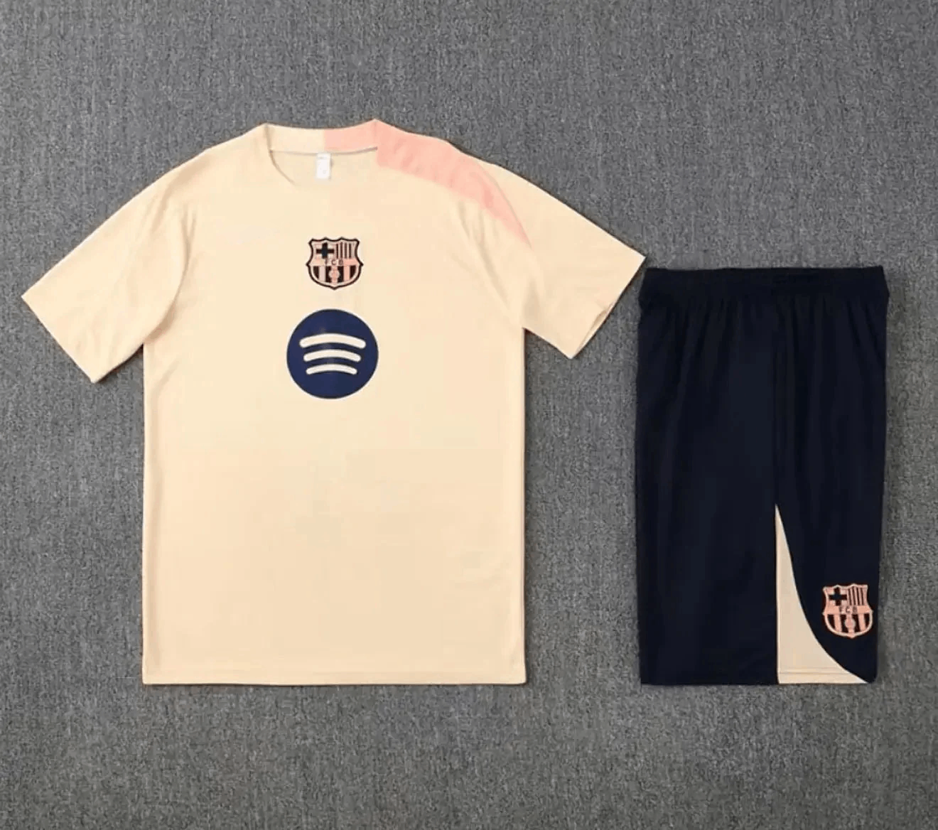 Kit Entraînement Adulte FC Barcelone 25/26