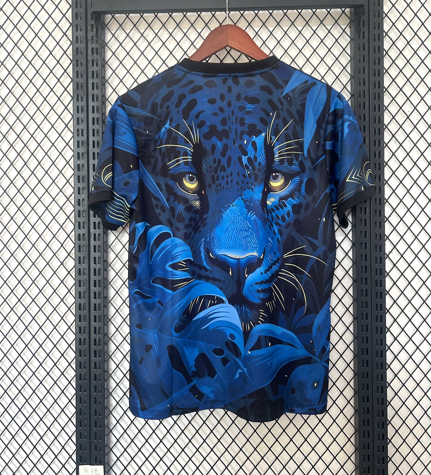 Maillot Brésil Concept 2024/2025