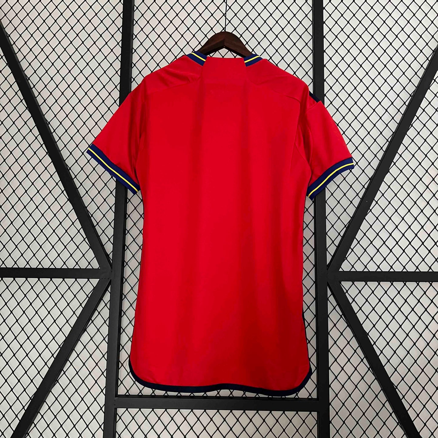 Maillot Espagne Concept 2024/2025